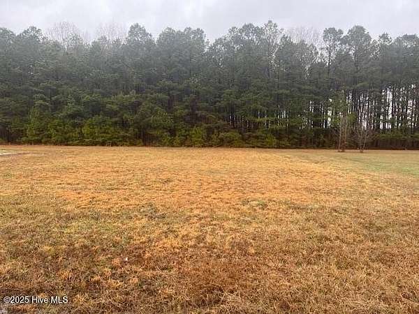 0.84 Acres of Residential Land for Sale in Rich Square, North Carolina