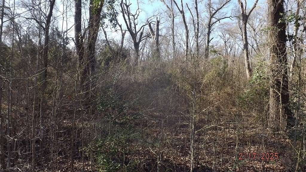 4.53 Acres of Residential Land for Sale in Oakwood, Texas