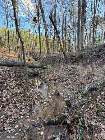 2 Acres of Land for Sale in Covington, Georgia