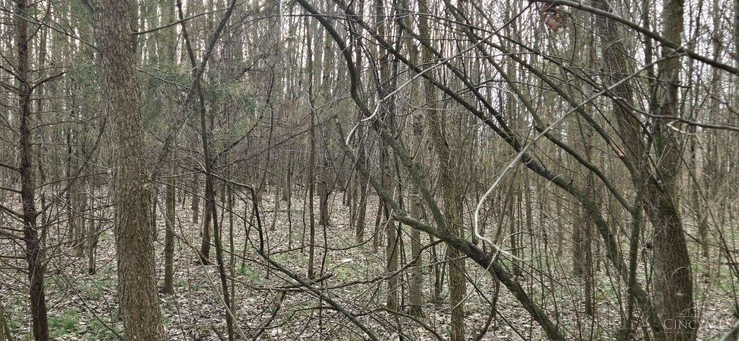 2.44 Acres of Land for Sale in Blanchester, Ohio