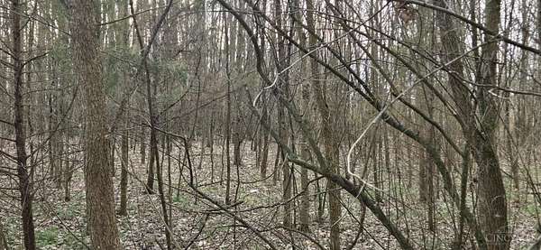 2.44 Acres of Land for Sale in Blanchester, Ohio