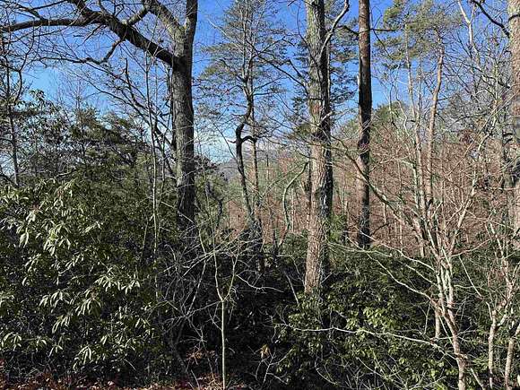 Residential Land for Sale in Landrum, South Carolina - LandSearch