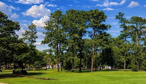 0.31 Acres of Residential Land for Sale in Chincoteague, Virginia