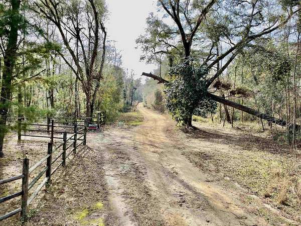 5 Acres of Residential Land for Sale in Greenville, Florida