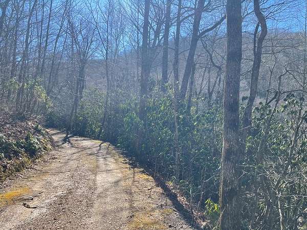 14 Acres of Land for Sale in Cullowhee, North Carolina