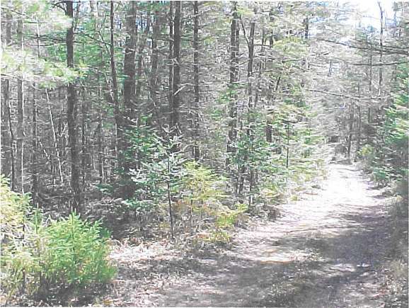 5 Acres of Land for Sale in Wesley, Maine