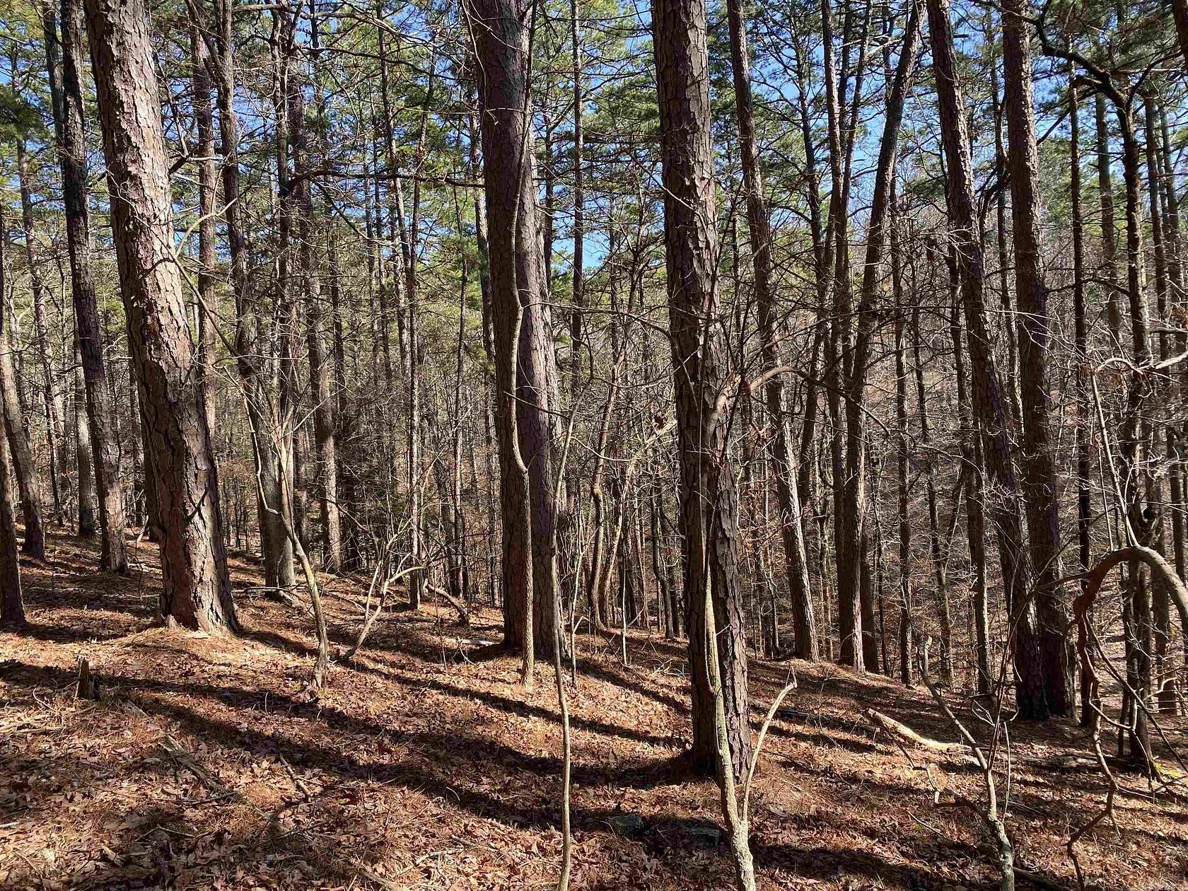 4.34 Acres of Residential Land for Sale in Mount Ida, Arkansas