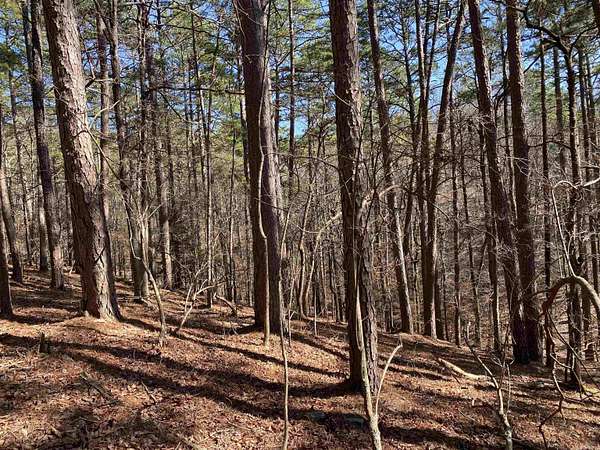 4.34 Acres of Residential Land for Sale in Mount Ida, Arkansas