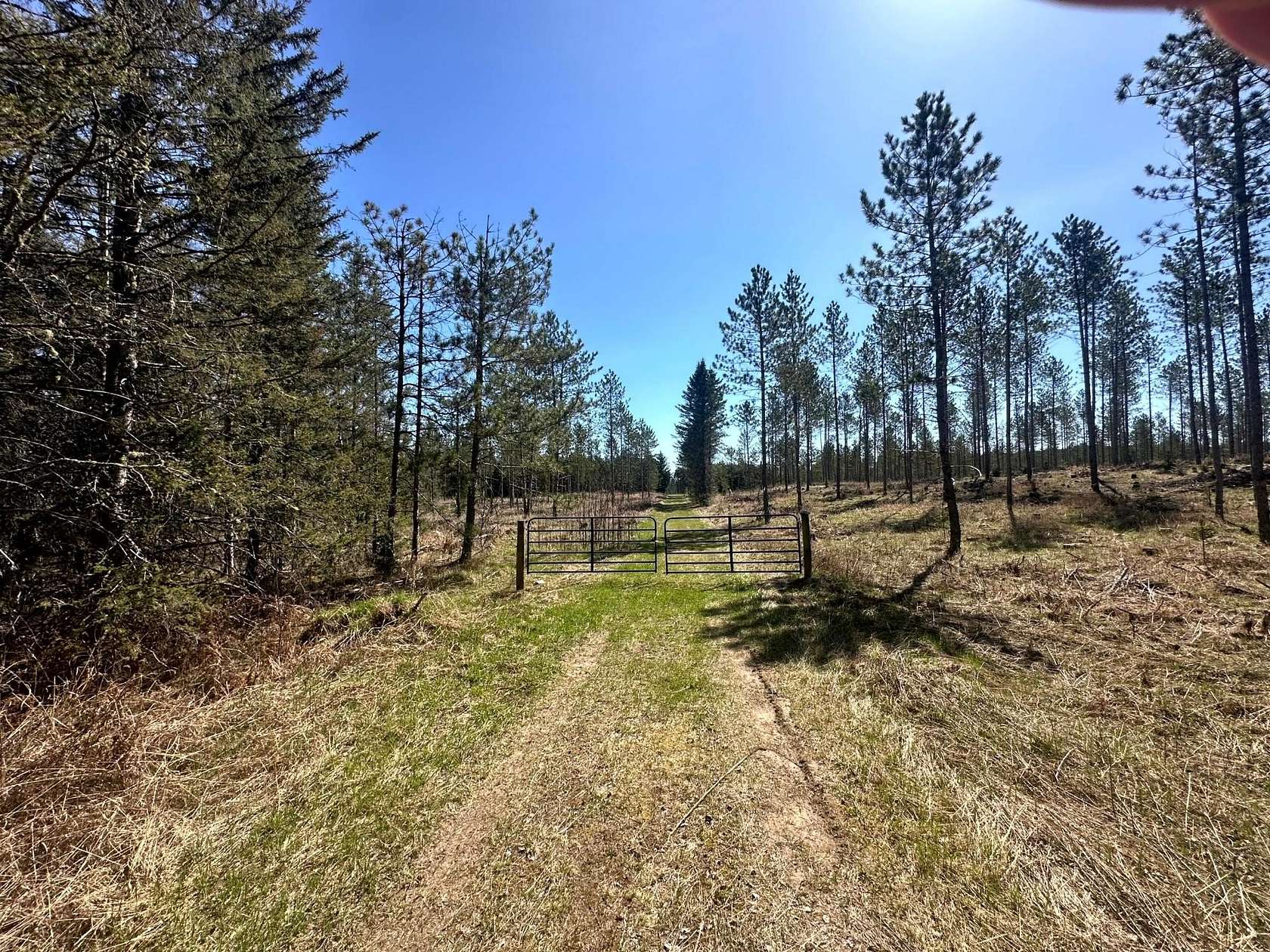 78.5 Acres of Land for Sale in Conover, Wisconsin