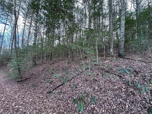 Residential Land for Sale in Murphy, North Carolina