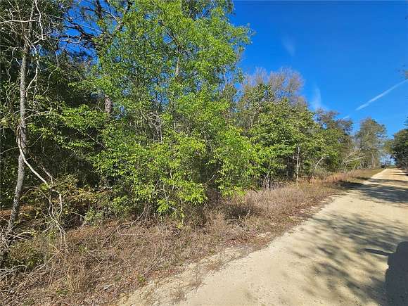 1 Acre of Land for Sale in Williston, Florida