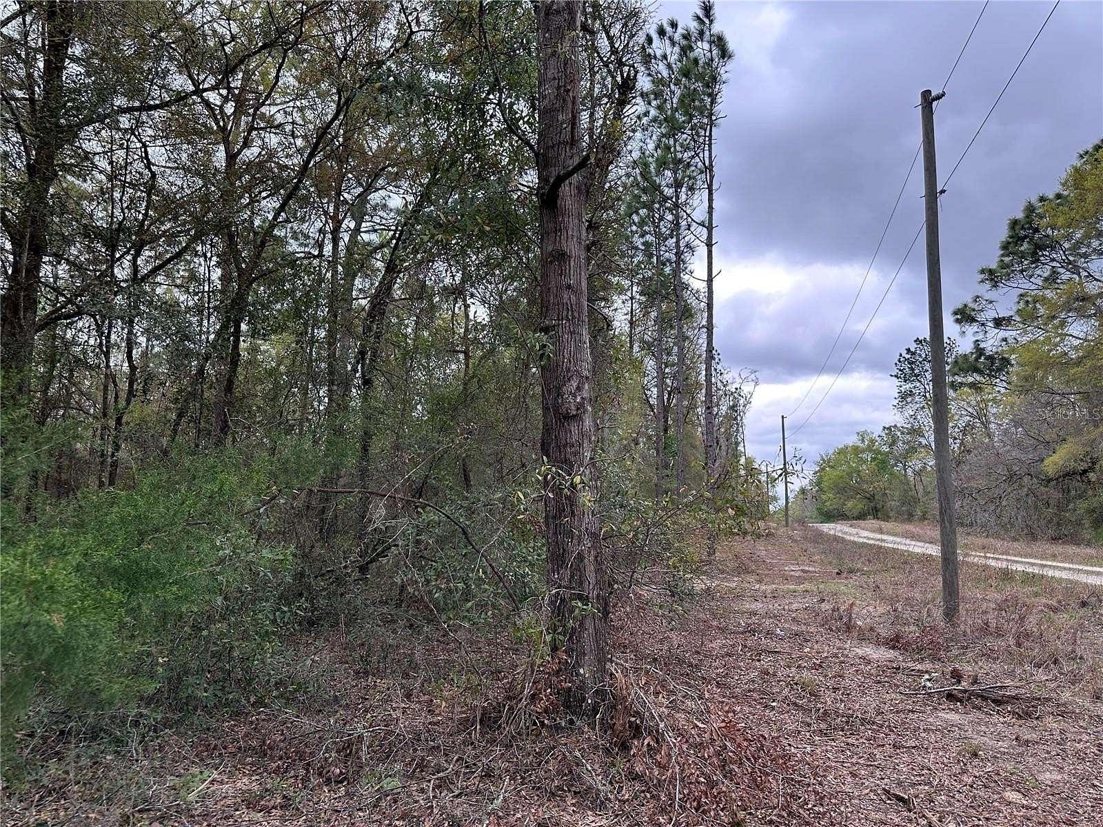 0.23 Acres of Land for Sale in Williston, Florida