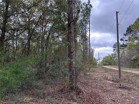 0.23 Acres of Land for Sale in Williston, Florida