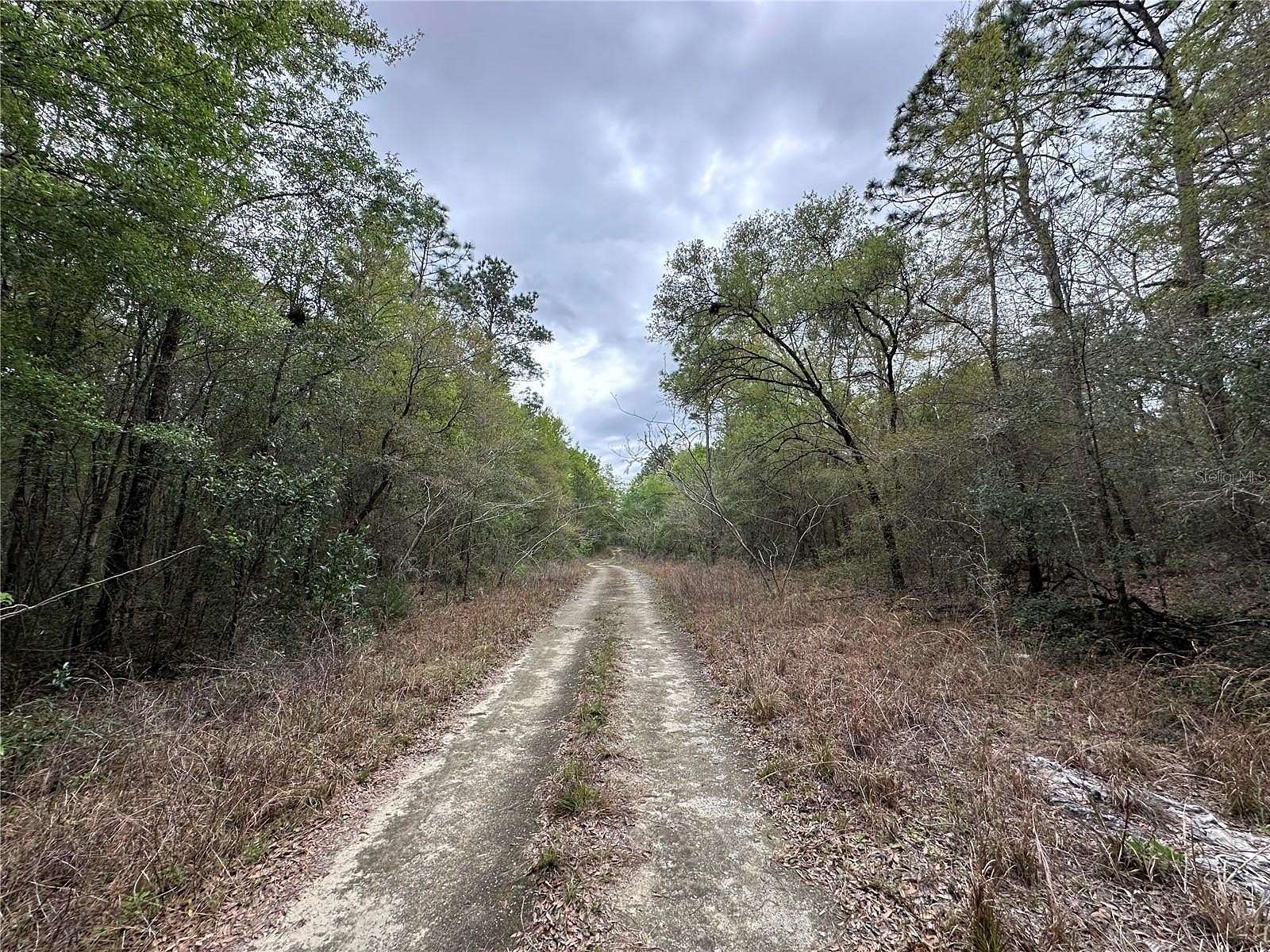0.23 Acres of Land for Sale in Williston, Florida