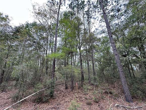 0.23 Acres of Land for Sale in Williston, Florida