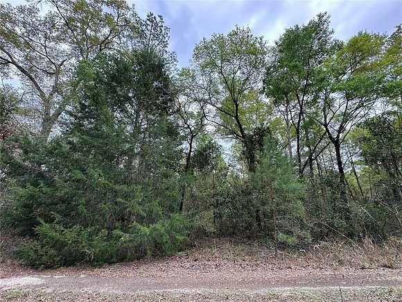 0.23 Acres of Land for Sale in Williston, Florida