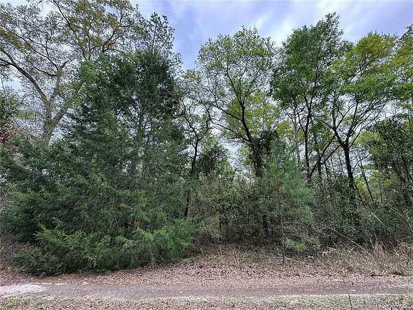 0.23 Acres of Land for Sale in Williston, Florida