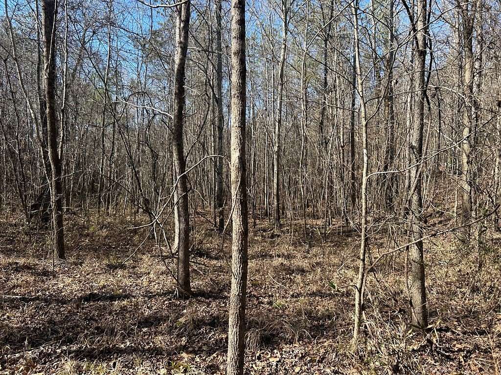 6.4 Acres of Land for Sale in Coffeeville, Mississippi