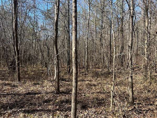 6.4 Acres of Land for Sale in Coffeeville, Mississippi