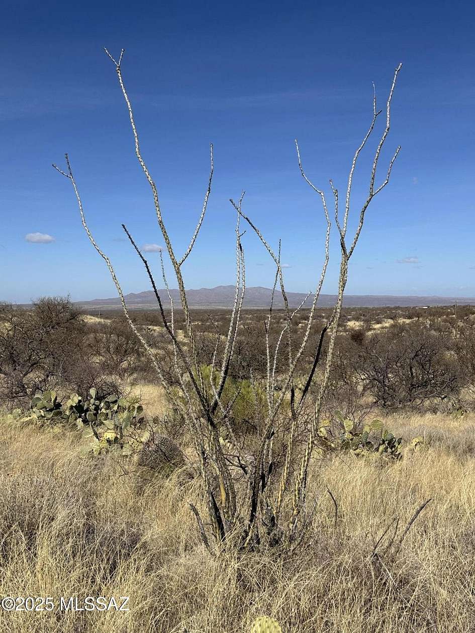 6.6 Acres of Residential Land for Sale in Oracle, Arizona