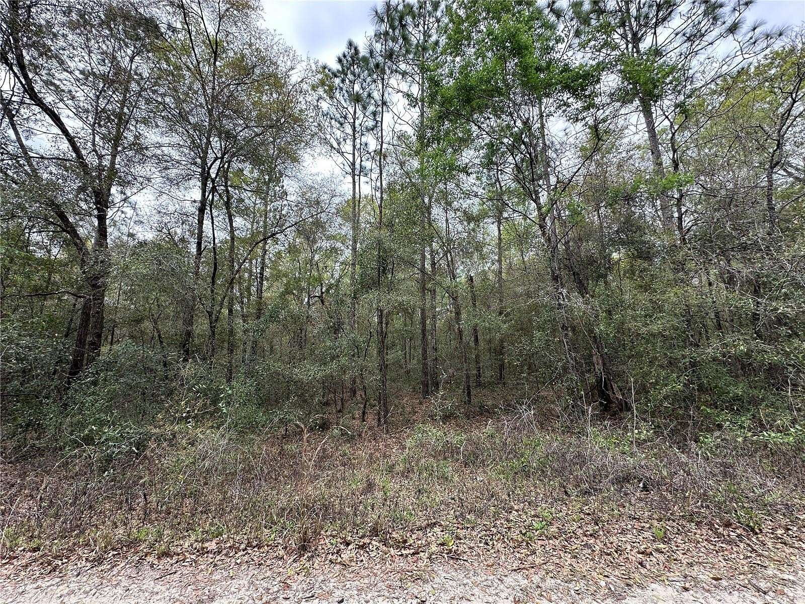 0.23 Acres of Land for Sale in Williston, Florida
