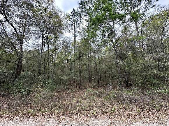 0.23 Acres of Land for Sale in Williston, Florida