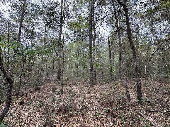 0.23 Acres of Land for Sale in Williston, Florida