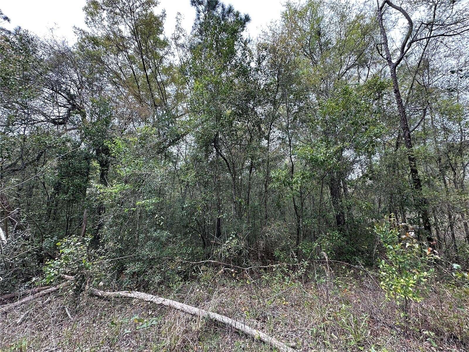 0.23 Acres of Land for Sale in Williston, Florida