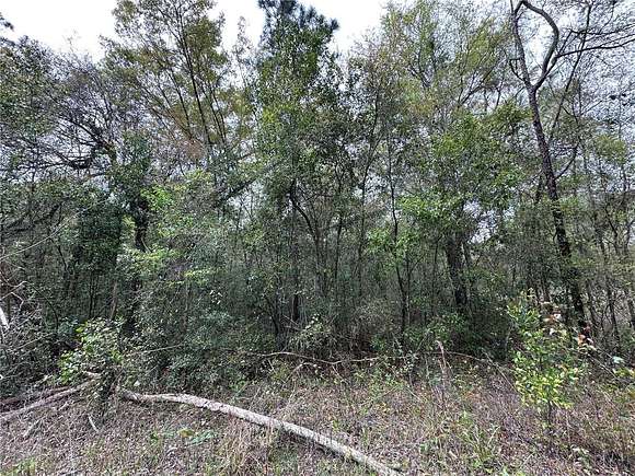 0.23 Acres of Land for Sale in Williston, Florida