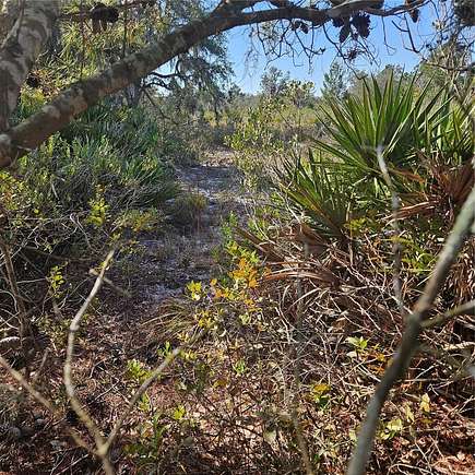 1.16 Acres of Residential Land for Sale in Lake Wales, Florida