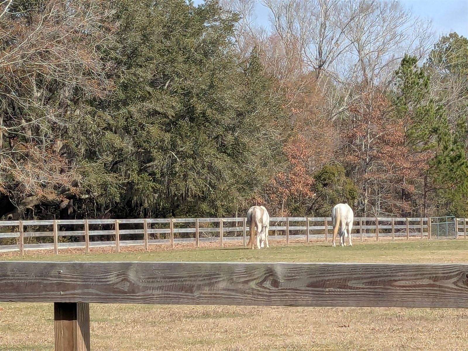 4.18 Acres of Residential Land for Sale in Meggett, South Carolina