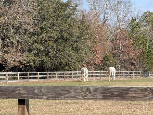 4.18 Acres of Residential Land for Sale in Meggett, South Carolina