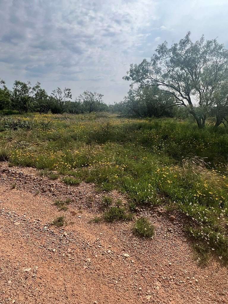 2 Acres of Land for Sale in Snyder, Texas