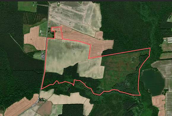 234 Acres of Recreational Land & Farm for Sale in Corapeake, North Carolina