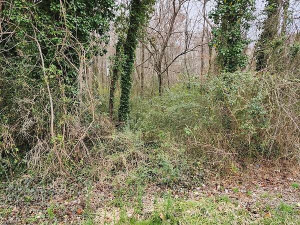 Residential Land for Sale in South Boston, Virginia