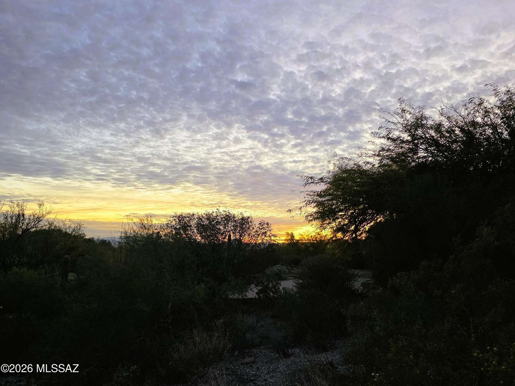 0.61 Acres of Residential Land for Sale in Tucson, Arizona