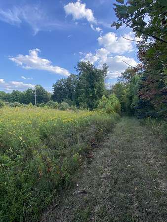 20.5 Acres of Land for Sale in Battle Creek, Michigan