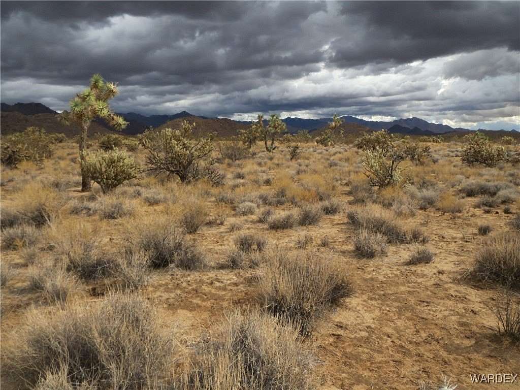 2.35 Acres of Residential Land for Sale in Yucca, Arizona