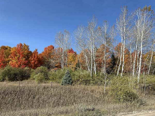 11.9 Acres of Land for Sale in Cheboygan, Michigan