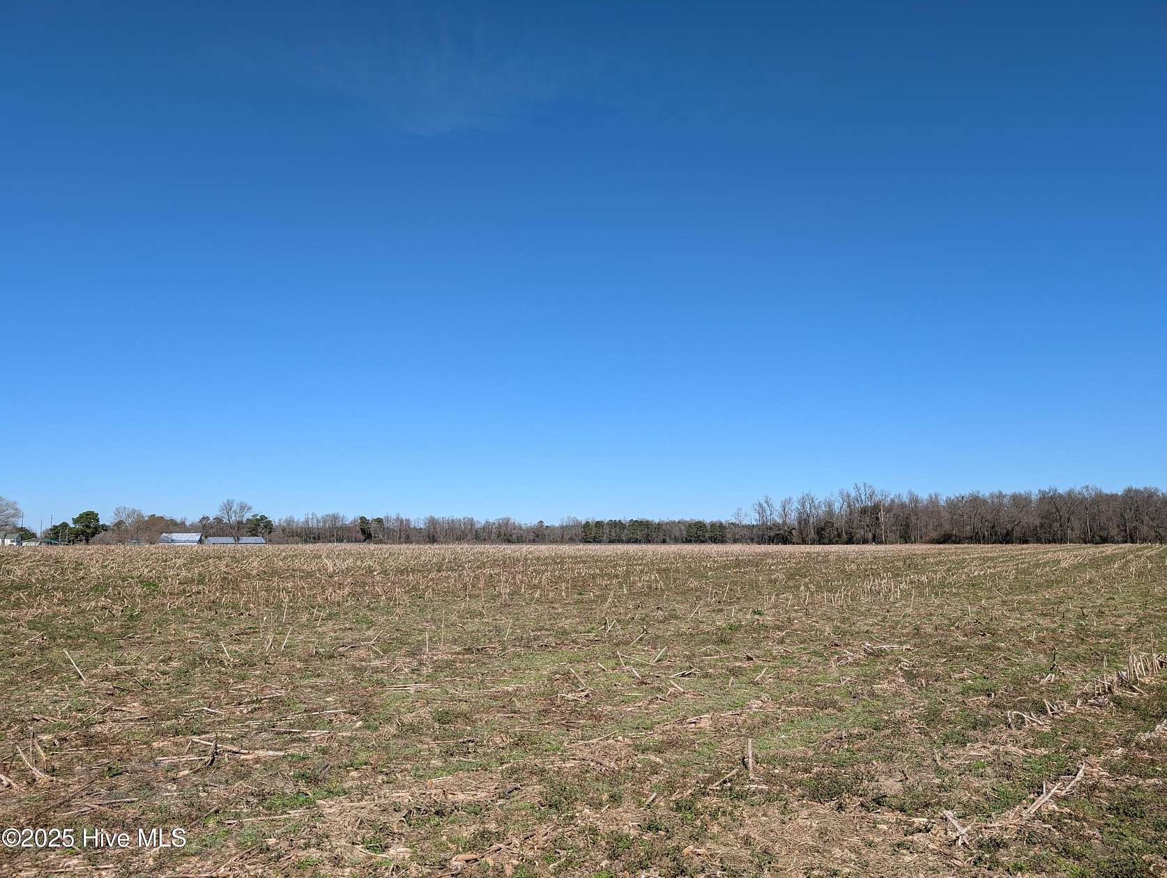 19 Acres of Land for Sale in Beulaville, North Carolina