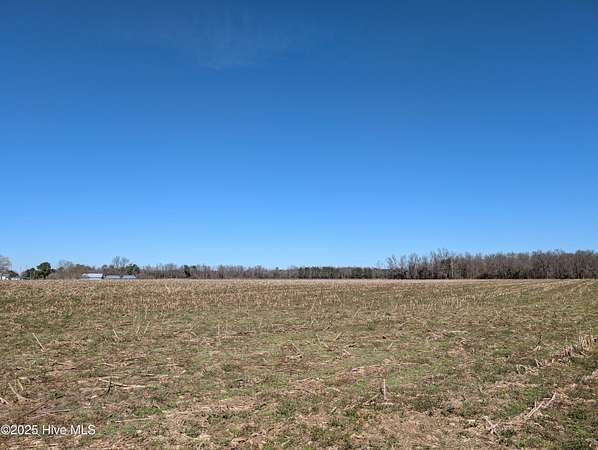 19 Acres of Land for Sale in Beulaville, North Carolina