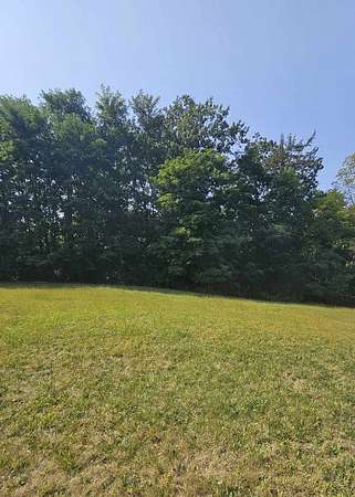 0.45 Acres of Residential Land for Sale in Lindenhurst, Illinois