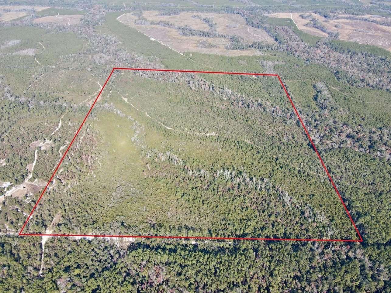 0.32 Acres of Land for Sale in Hosford, Florida