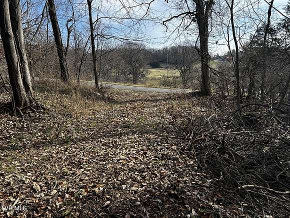 0.44 Acres of Residential Land for Sale in Watauga, Tennessee