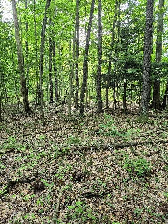 12.2 Acres of Recreational & Residential Land for Sale in Albion, Pennsylvania