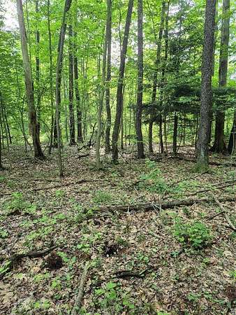 12.2 Acres of Recreational & Residential Land for Sale in Albion, Pennsylvania