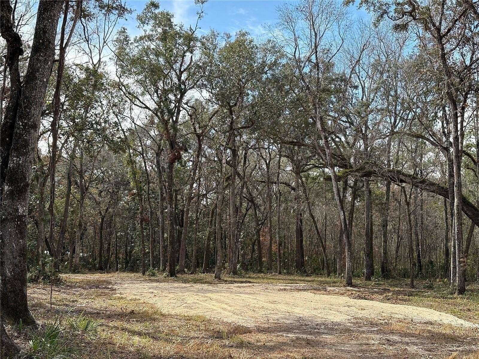 19.2 Acres of Land for Sale in Brooksville, Florida