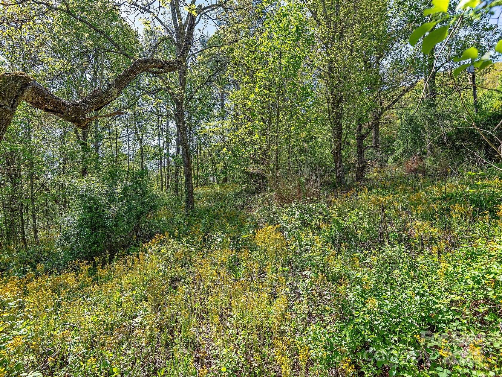 10.9 Acres of Agricultural Land for Sale in Asheville, North Carolina