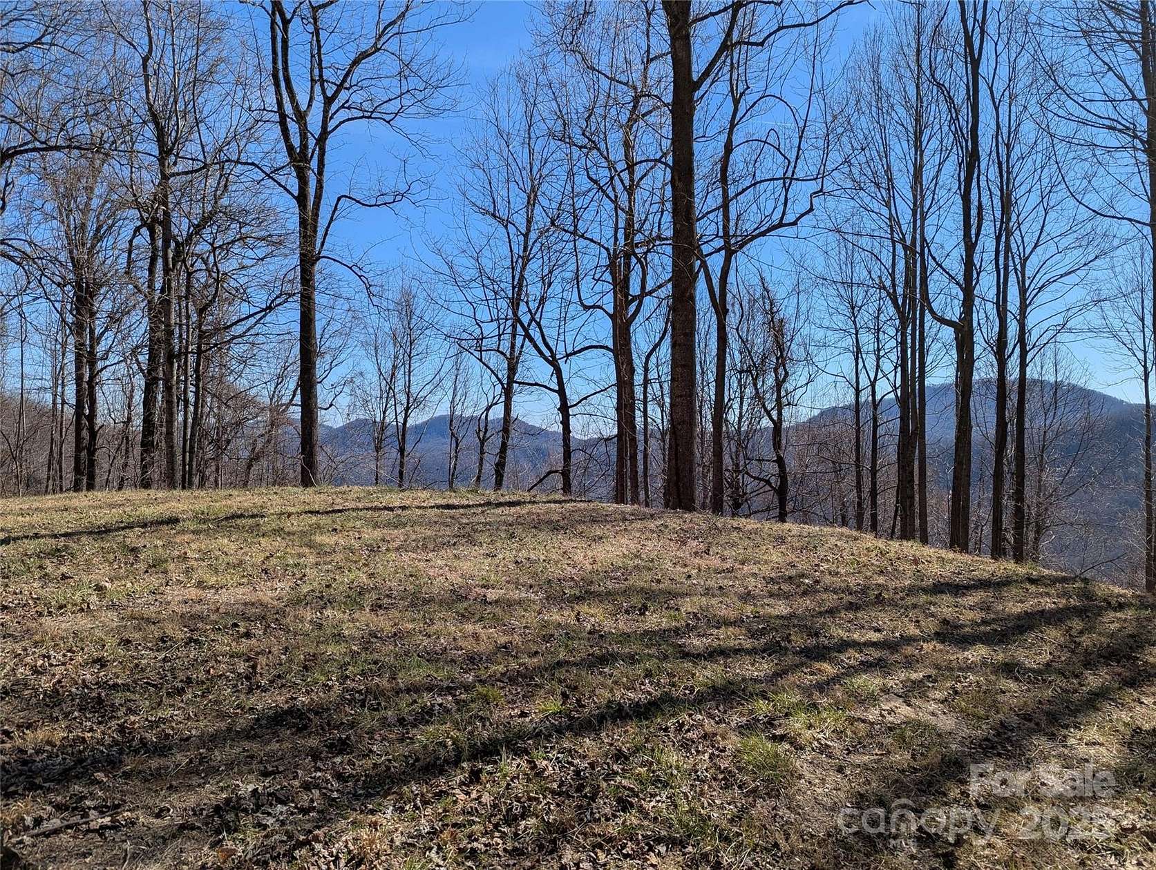 2.62 Acres of Residential Land for Sale in Black Mountain, North Carolina