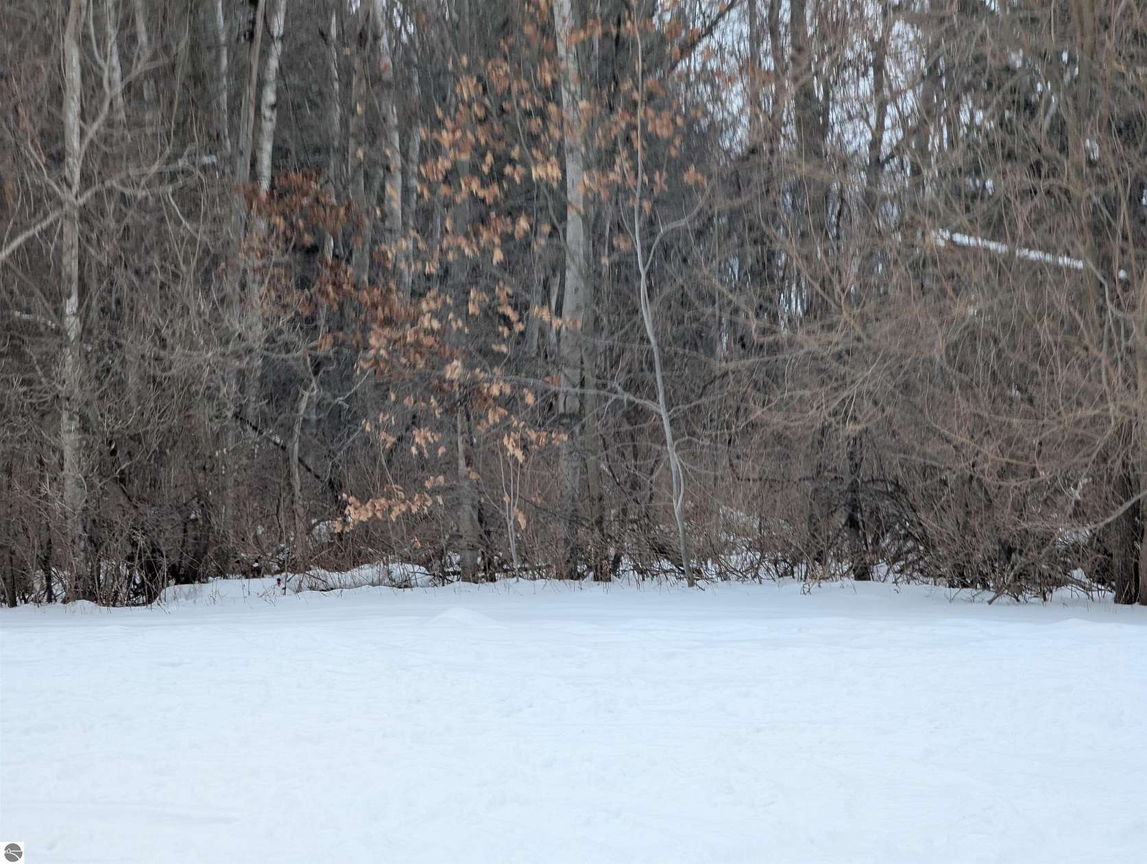 5.16 Acres of Land for Sale in Au Gres, Michigan